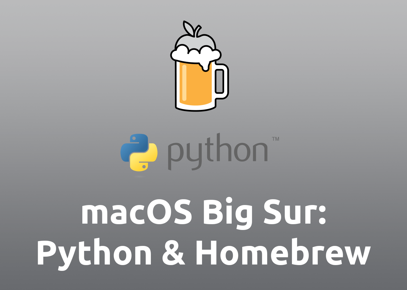 install python macos big sur