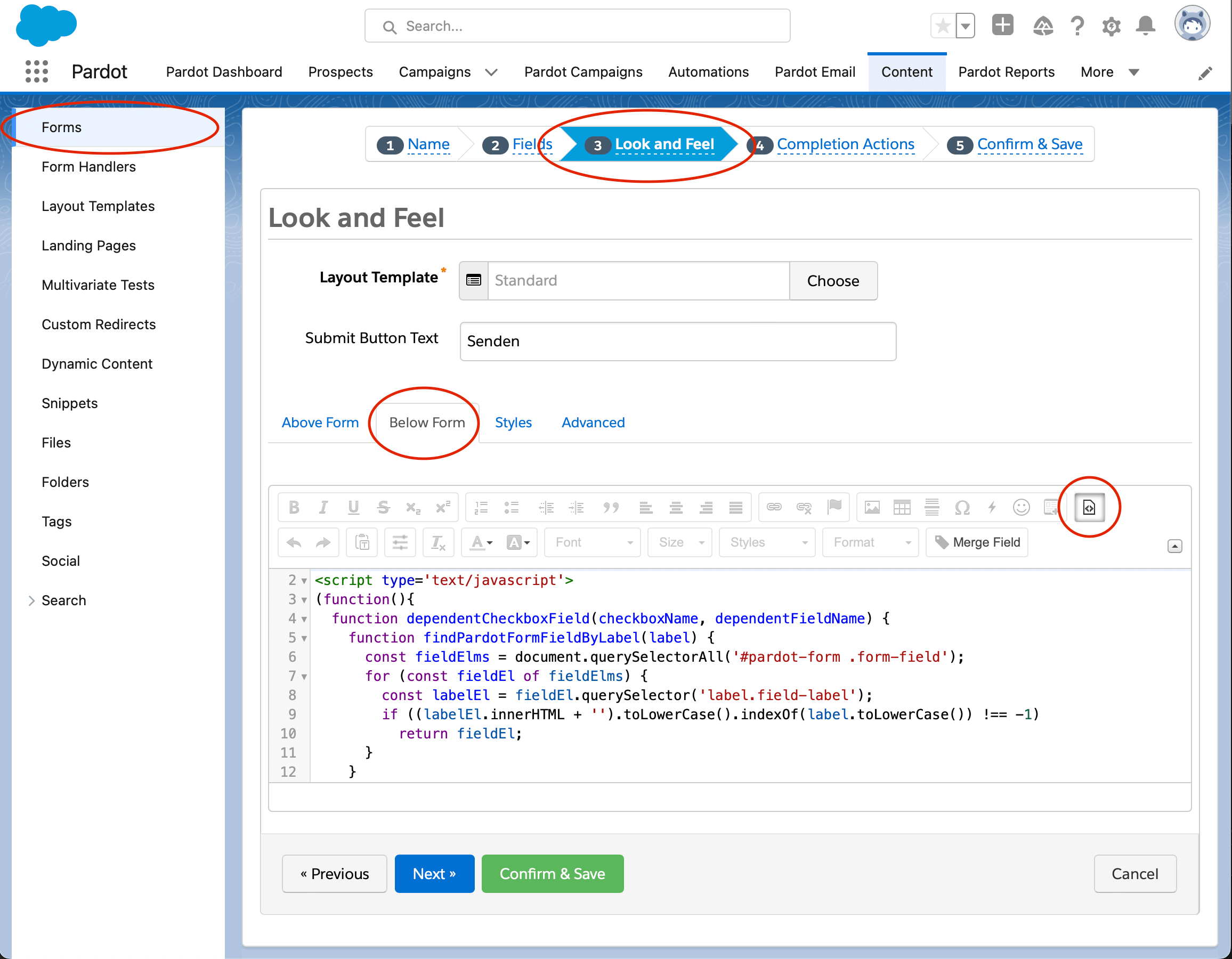 Pardot insert HTML Code below Form